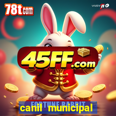 canil municipal porto alegre